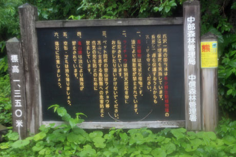 20130729_10.jpg